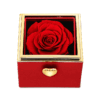 Jewelry Box-C